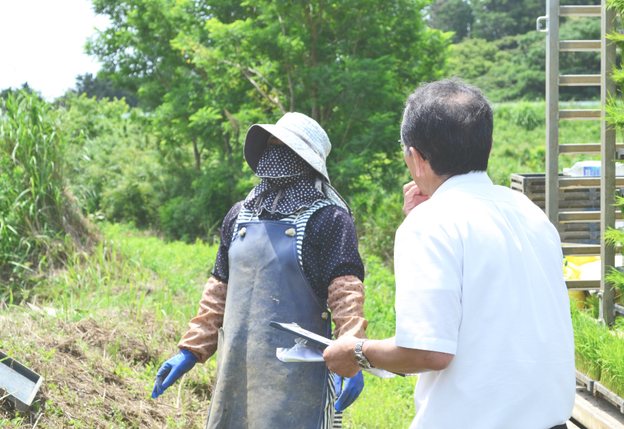 農作業の合間に、ヤケーヌについてお話を聞かせてくださった農家の方
